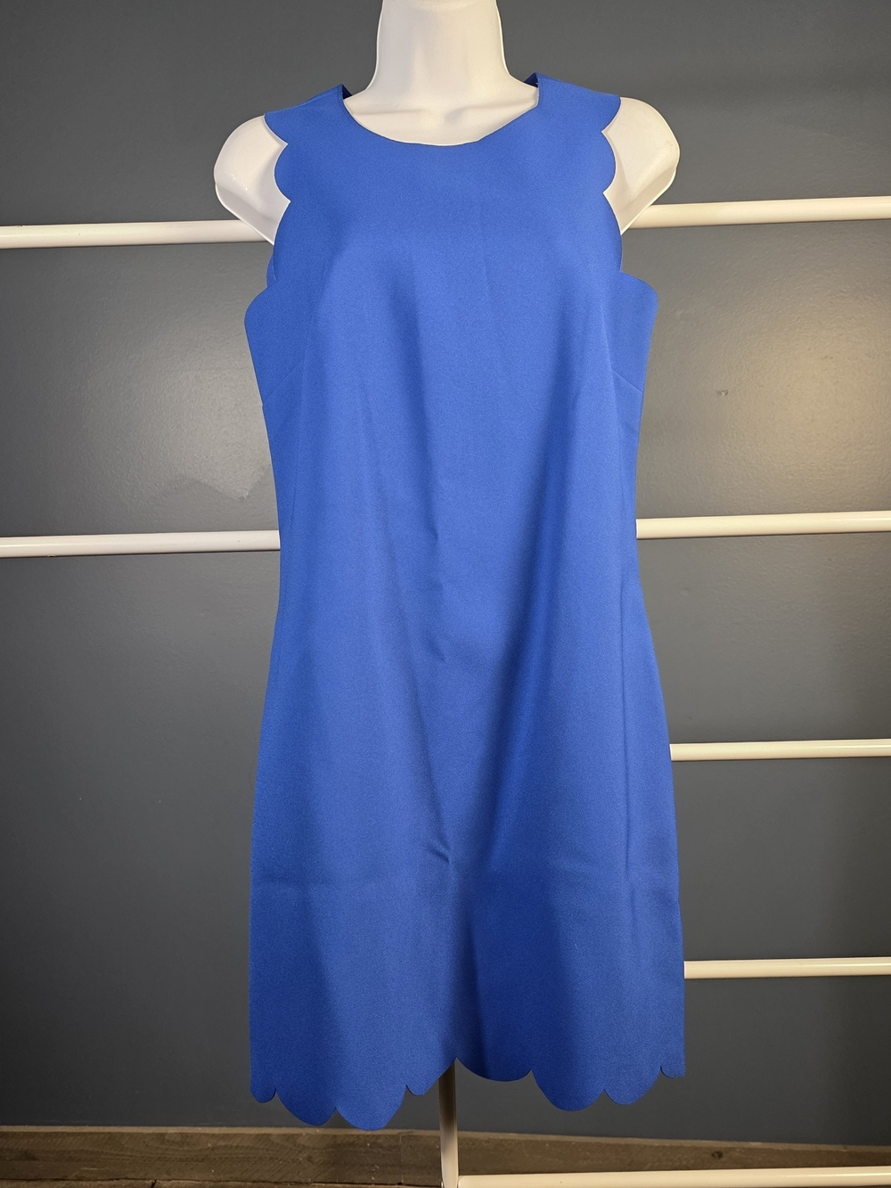 J.Crew Royal Blue Scalloped Shift Dress 0